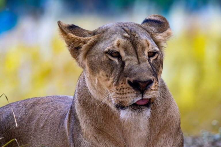 pexels-regan-dsouza-1315522347-35712672